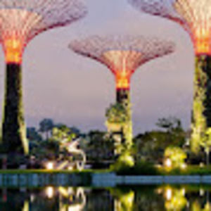 Meet your Posher, Miles